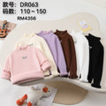DR063
