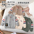BL311A