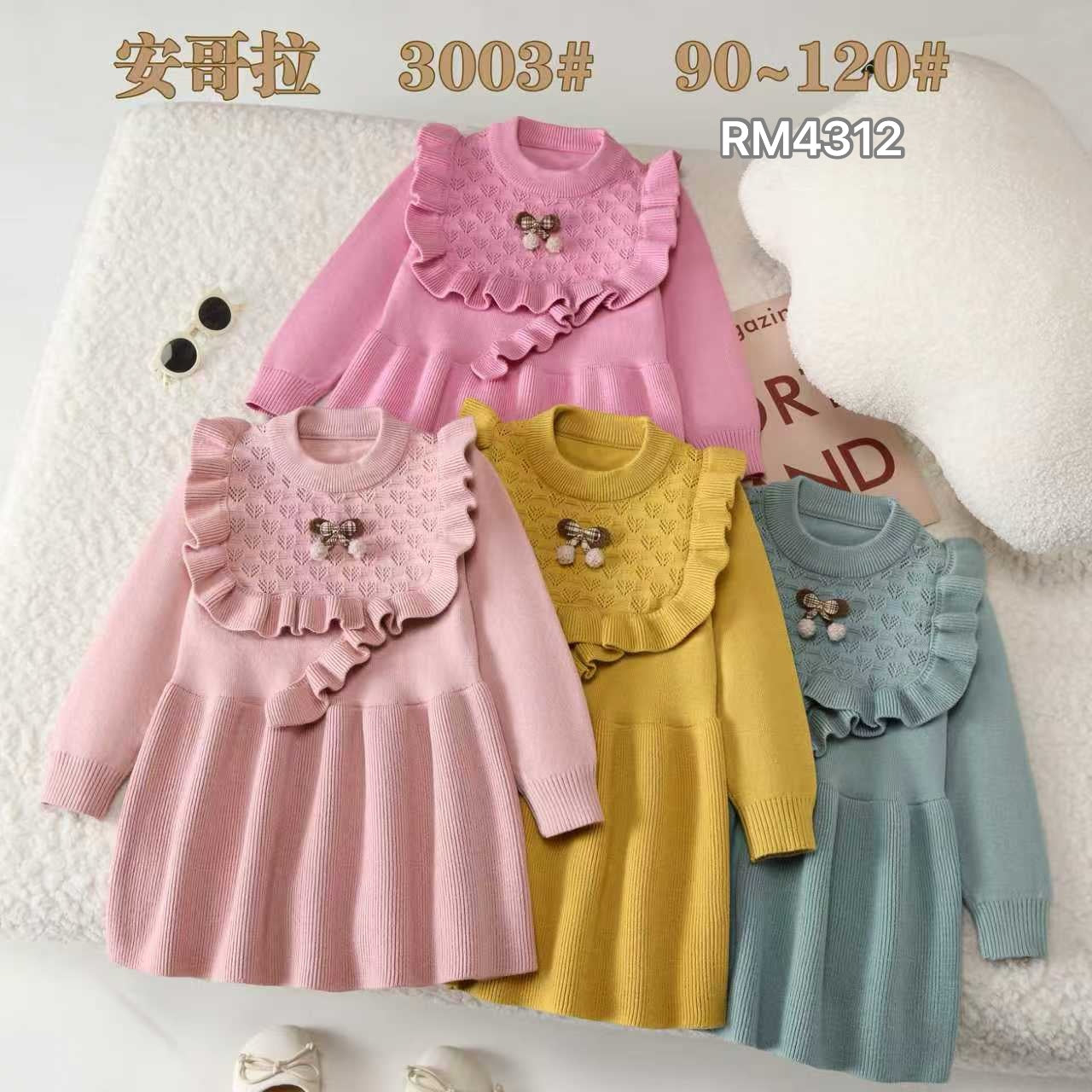 3003#