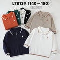 L7813#