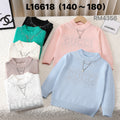 L16618