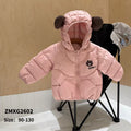 ZMXG2602