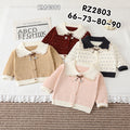 RZ2803-1