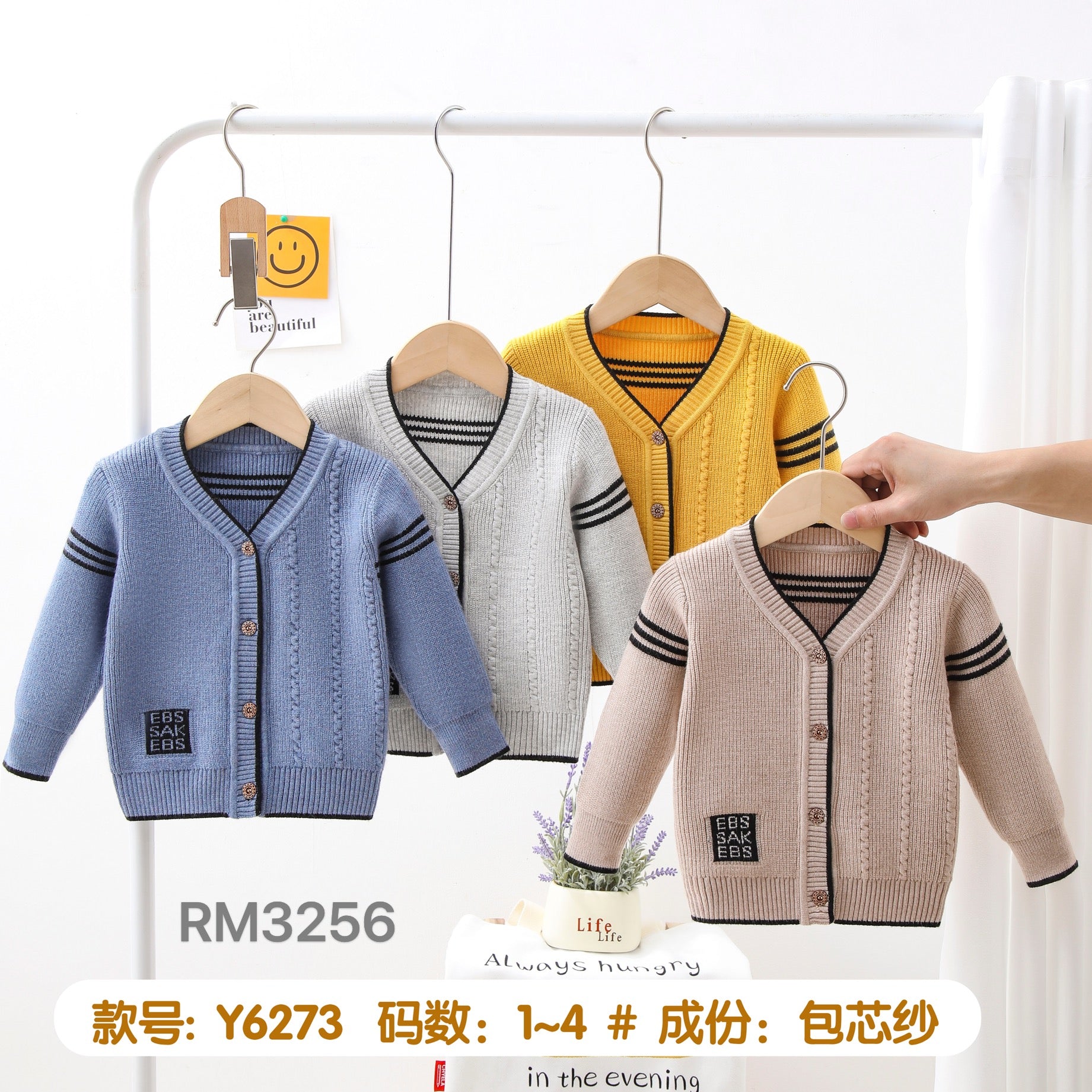Y6273