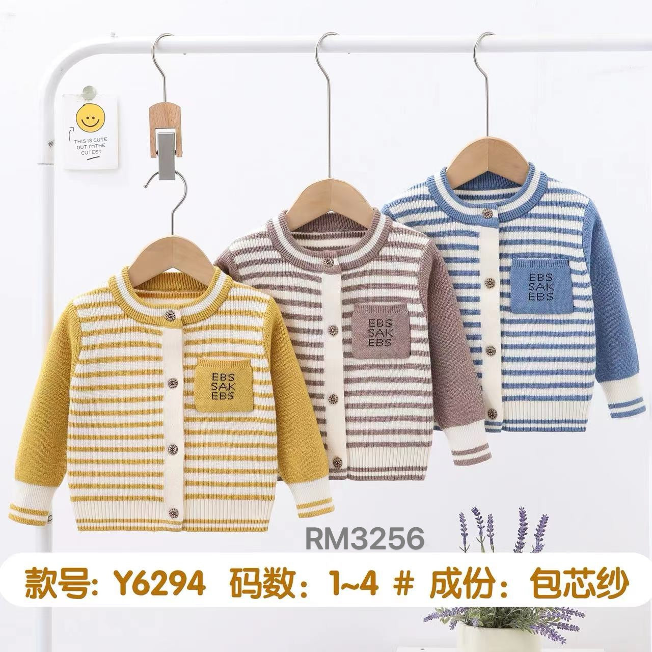 Y6294